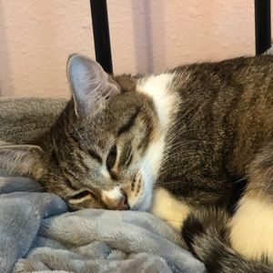 Meet your Posher, Autumn